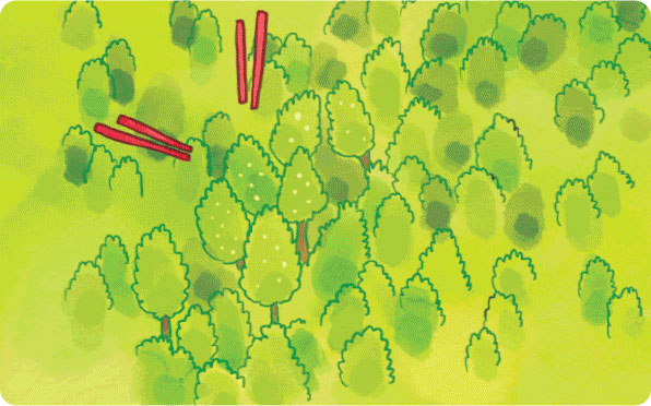 토석류-징조-산울림이나-이상한-냄새-땅울림
