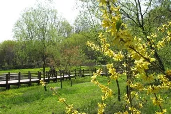 경기도 봄 여행지 추천 10곳 완벽 코스 가이드북_16