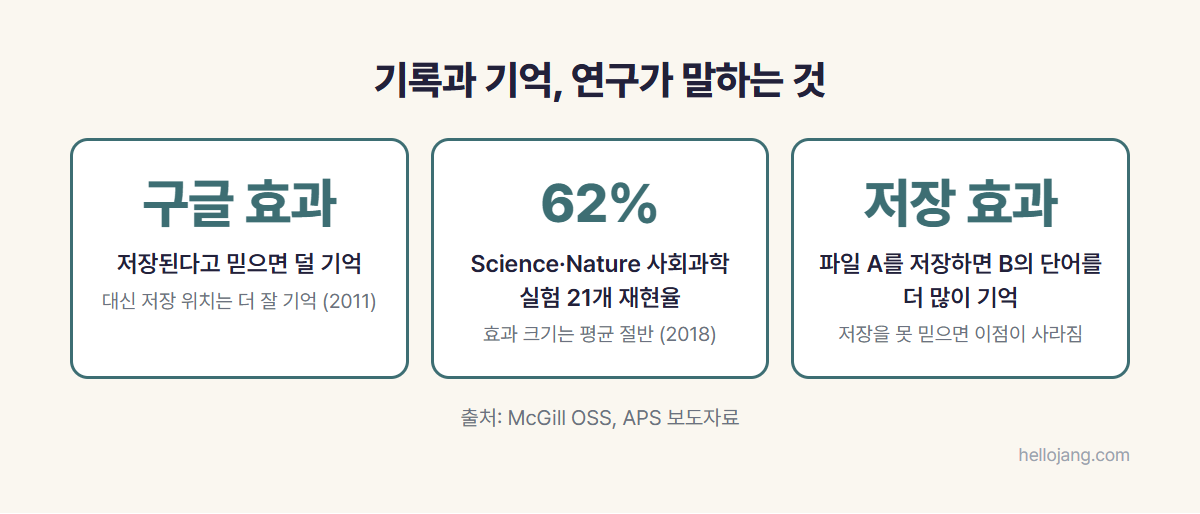 저장된다고 믿으면 덜 기억한다는 구글 효과, 사회과학 실험 재현율 62%, 파일을 저장하면 다음 정보를 더 잘 기억한다는 저장 효과 연구를 정리한 카드 그림