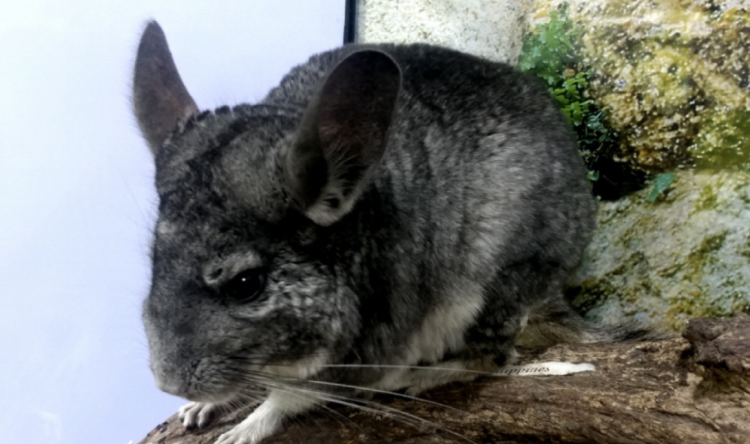 부천 자연생태공원