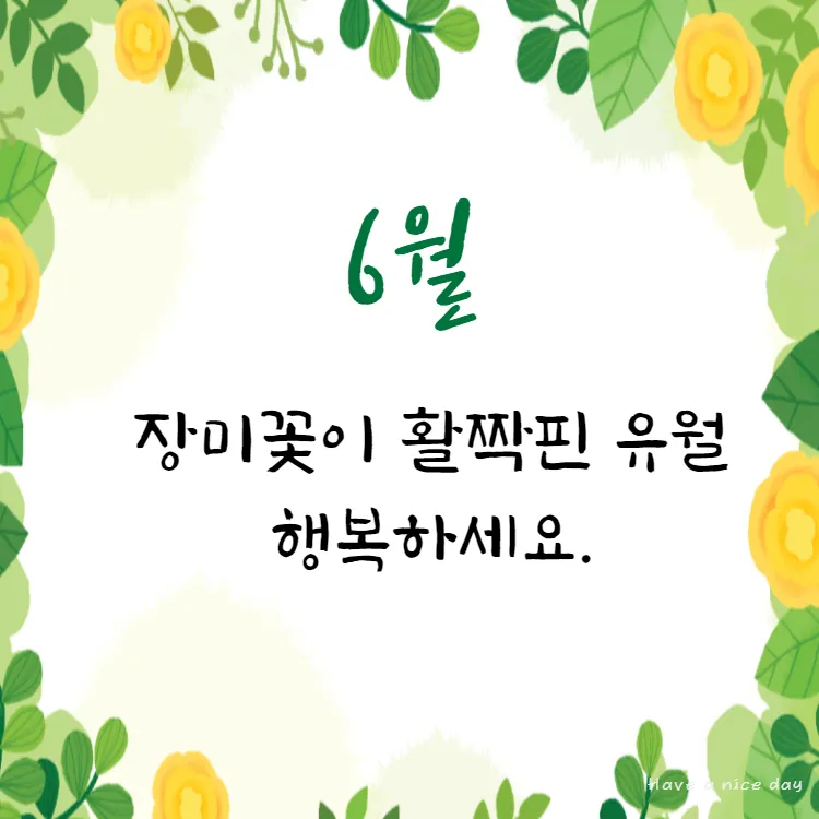 6월 인사말 모음집 이미지 문구 이미지 모음_8
