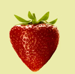 천식에 좋은 음식 영양제 식단