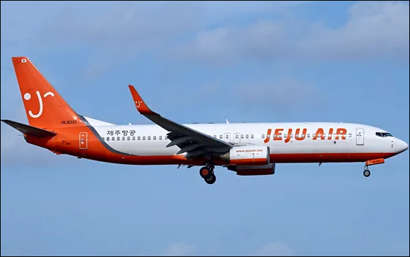 사보타주 뜻 의미 제주항공