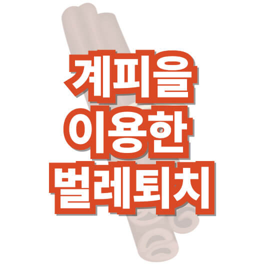 계피-벌레-퇴치