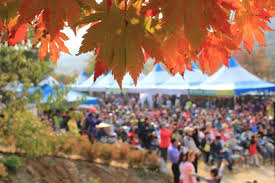 제19회 포천운악산 단풍축제 기본정보와 프로그램 정리 윤수현 나건필 쇼미 안정이 출연