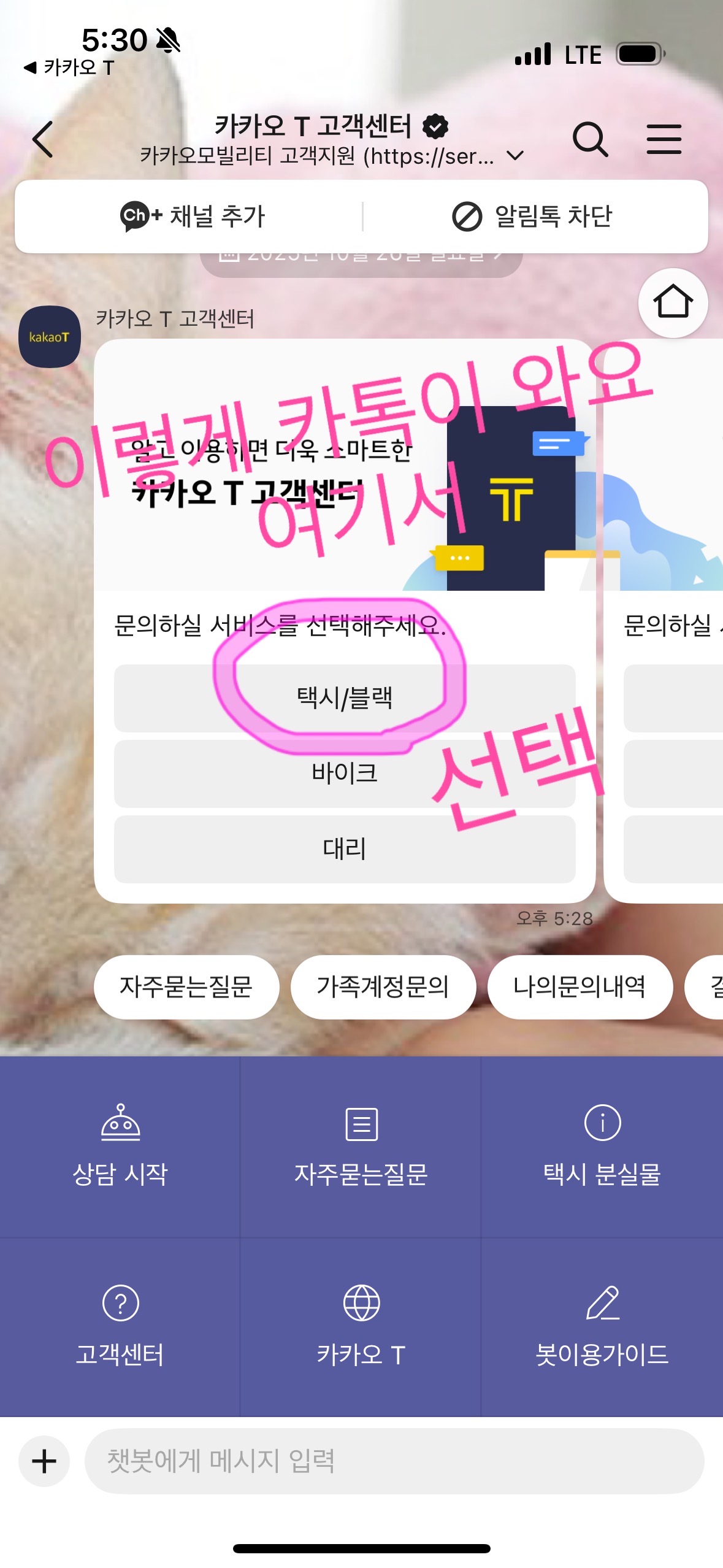 카카오T 고객센터 채팅창에서 택시/블랙 선택 화면