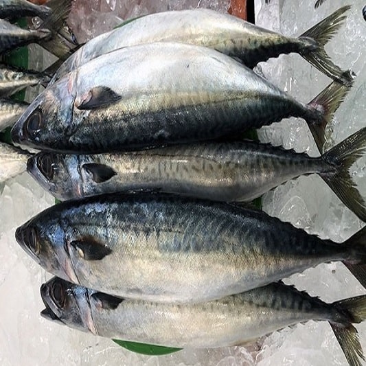 면역력 높이는 음식, 고등어와 같은 등푸른 생선