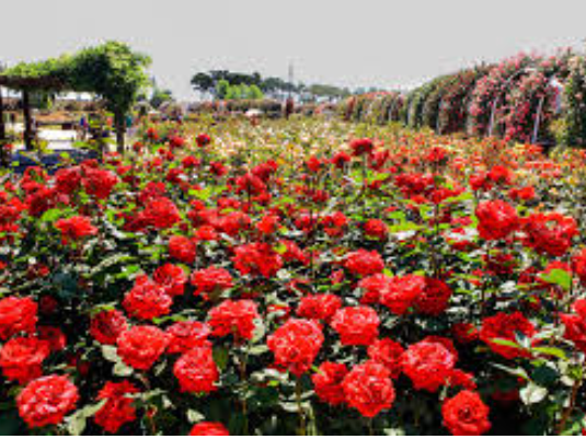 5월 국내여행지 베스트