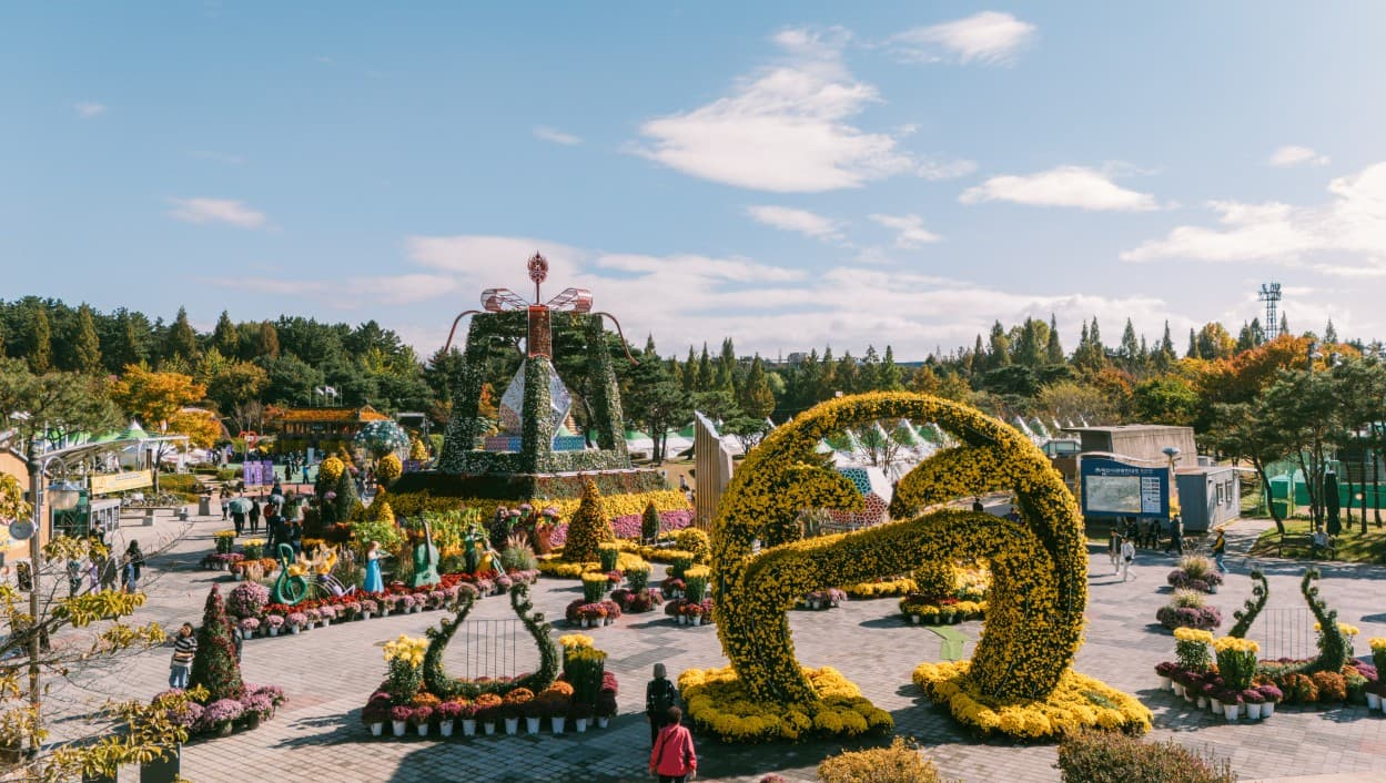 🌸 2025 익산 천만송이국화축제 완벽 가이드