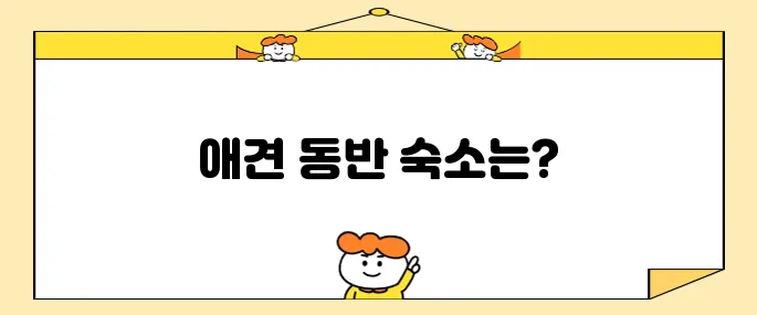 강원도 평창의 더화이트 호텔, 휘닉스파크 인근에서 애견과 함께할 수 있는 숙소를 추천합니다!