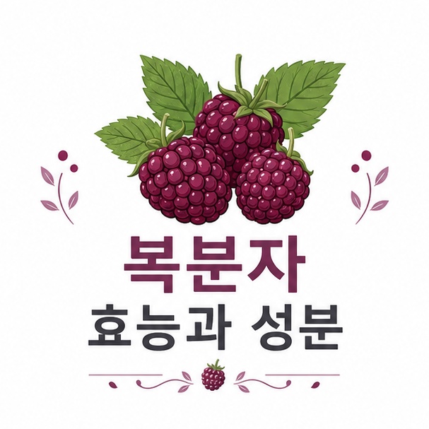 복분자 효능과 성분 정리