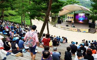 청남대 봄꽃축제 영춘제