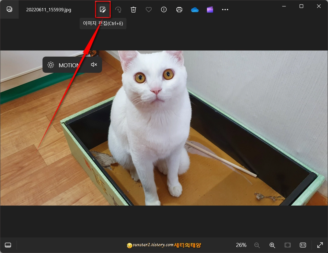 윈도우11_사진앱으로배경을_제거하거나_흐리게처리하기_6