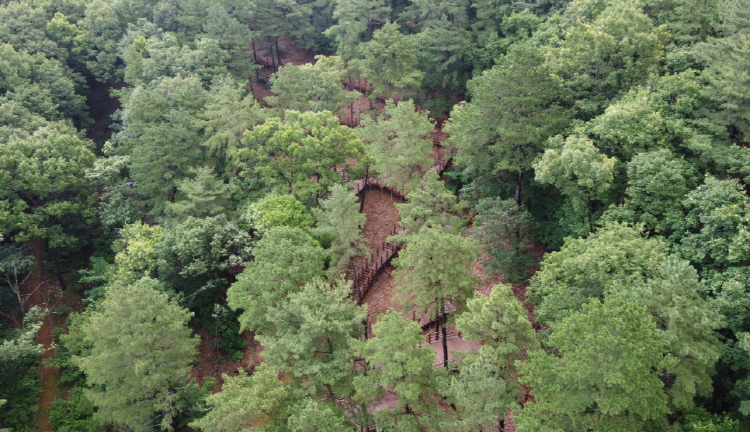무봉산 자연휴양림