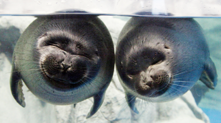 여수 아쿠아리움