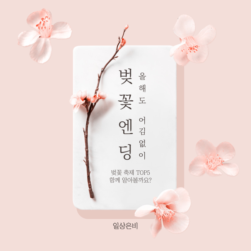 벚꽃 축제 TOP 5