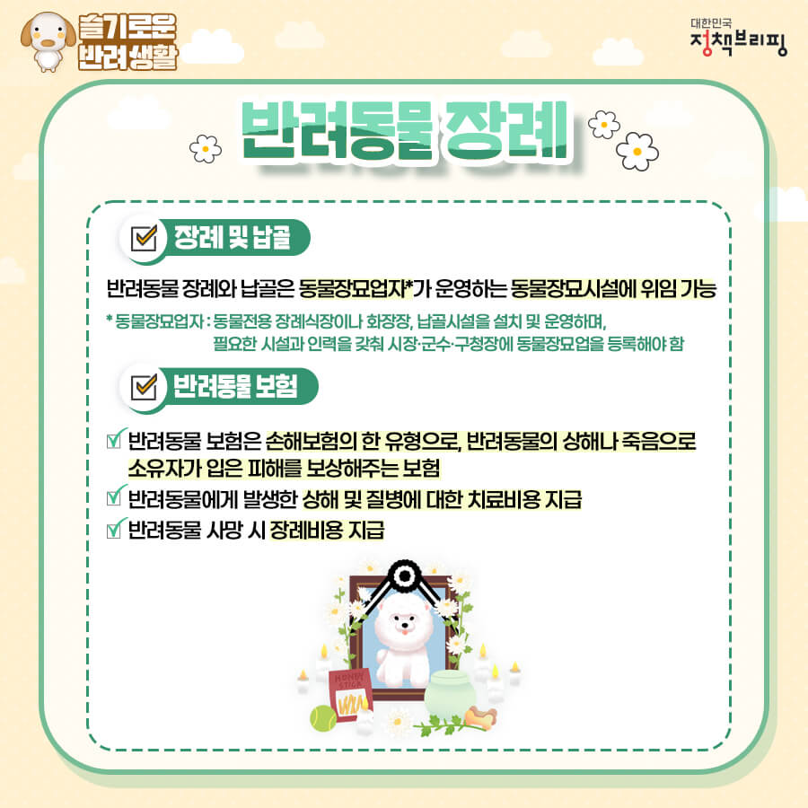펫보험