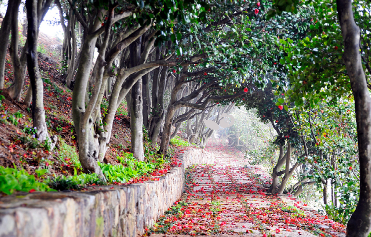 장사도 해상공원