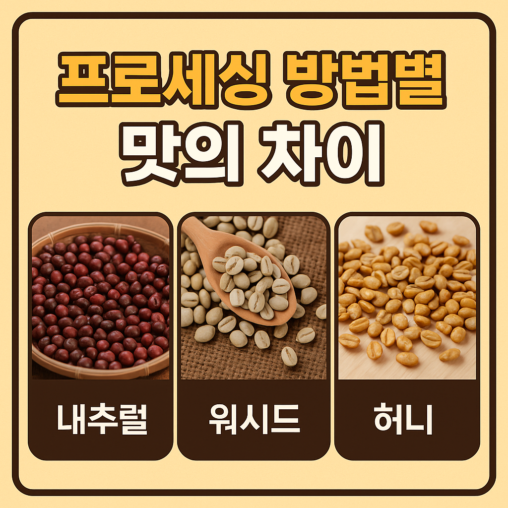 프로세싱 방법별 맛의 차이