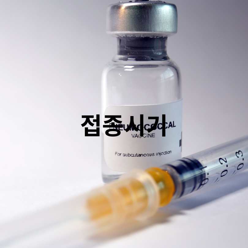 패혈증 예방접종 완벽 가이드