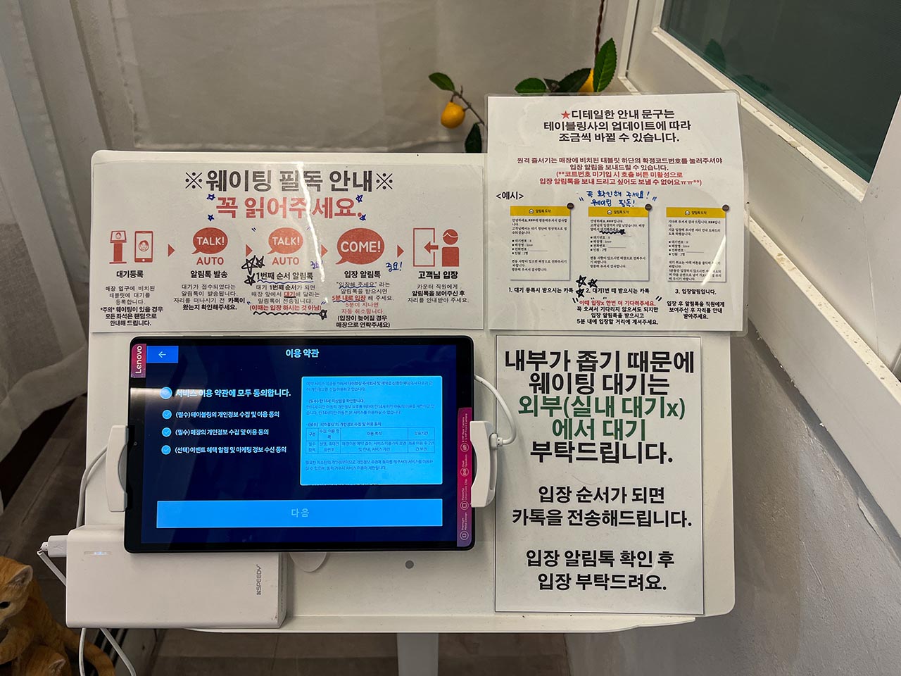 부산대 모모후