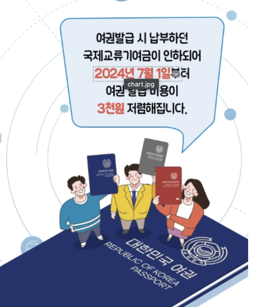 여권발급비용 인하 출국납부금 인하(2024년)