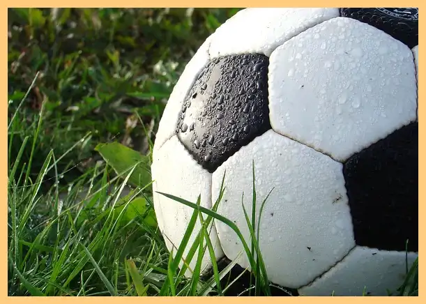 축구 결과 한국 팔레스타인 (하이라이트 동영상)