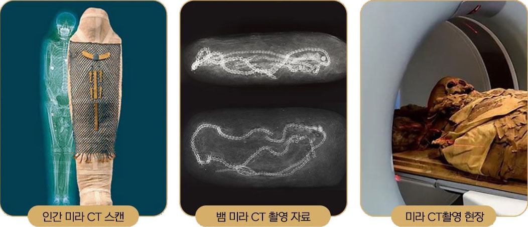 04. 고고학과 과학이 만났다! 국내 최초로 공개하는 이집트 미라 CT 촬영 3D 영상!