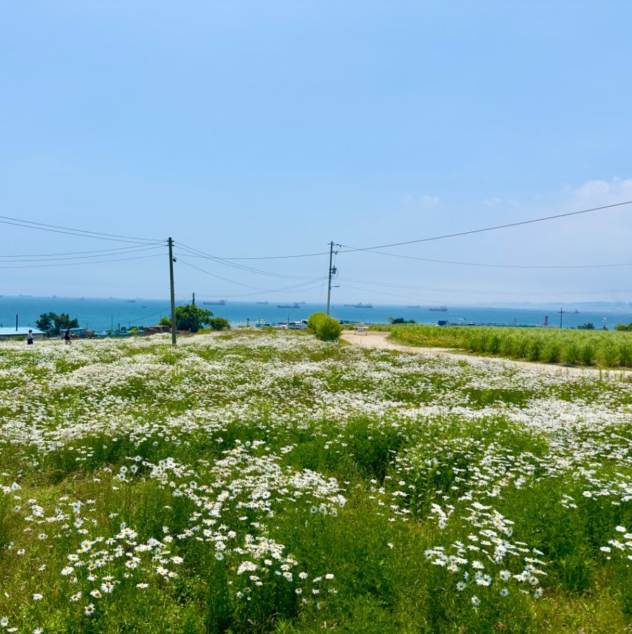 대왕암공원