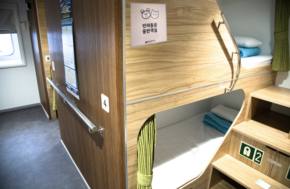 강아지와배로제주도가기씨월드고속페리 펫서비스