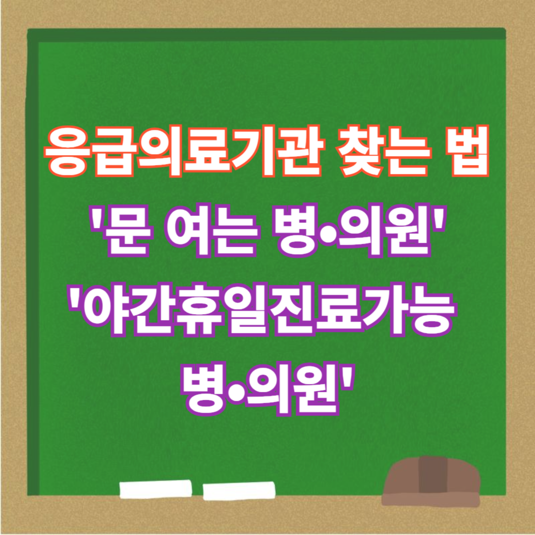 응급의료기관 찾기 '문 여는 병•의원'