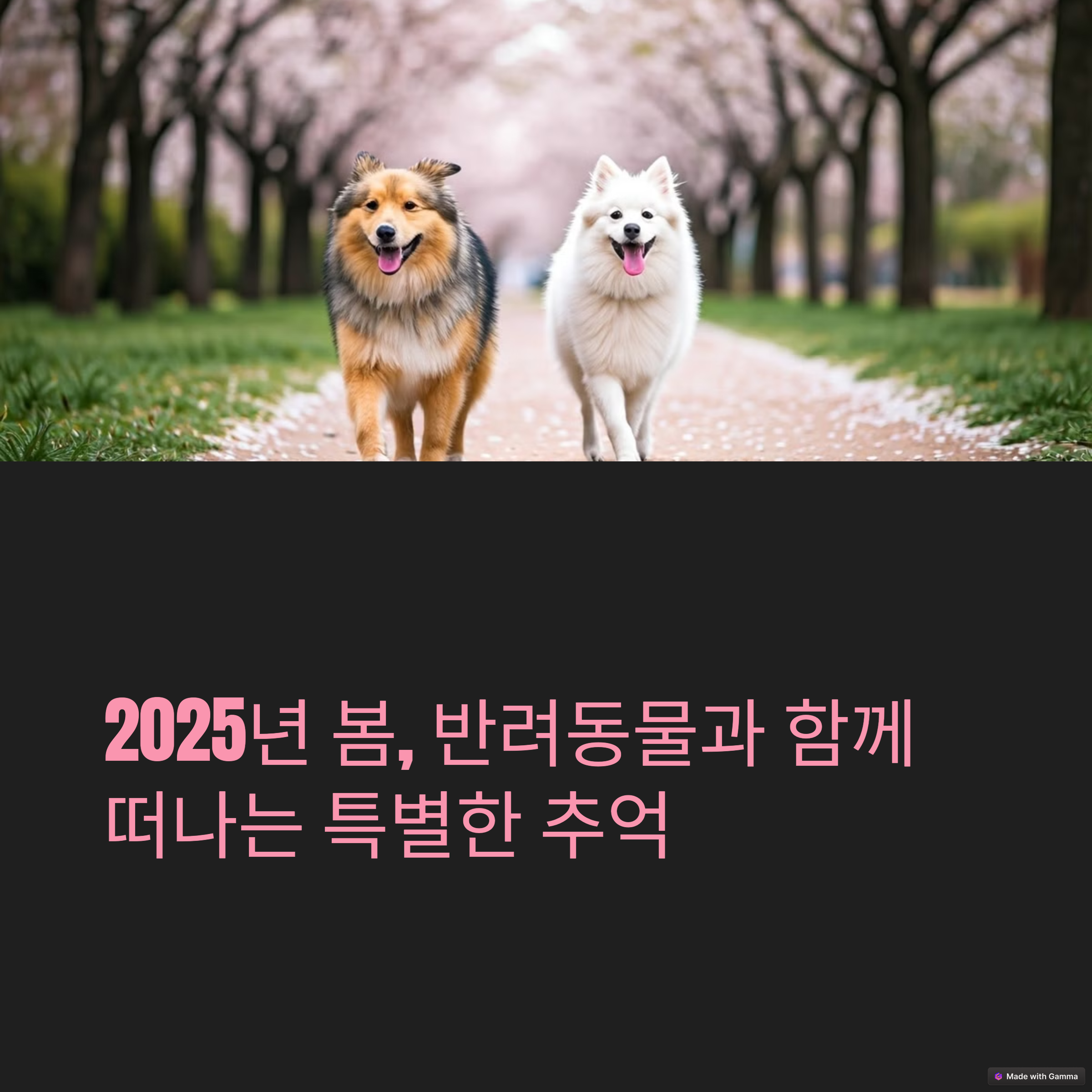 반려동물과 함께 특별한 추억