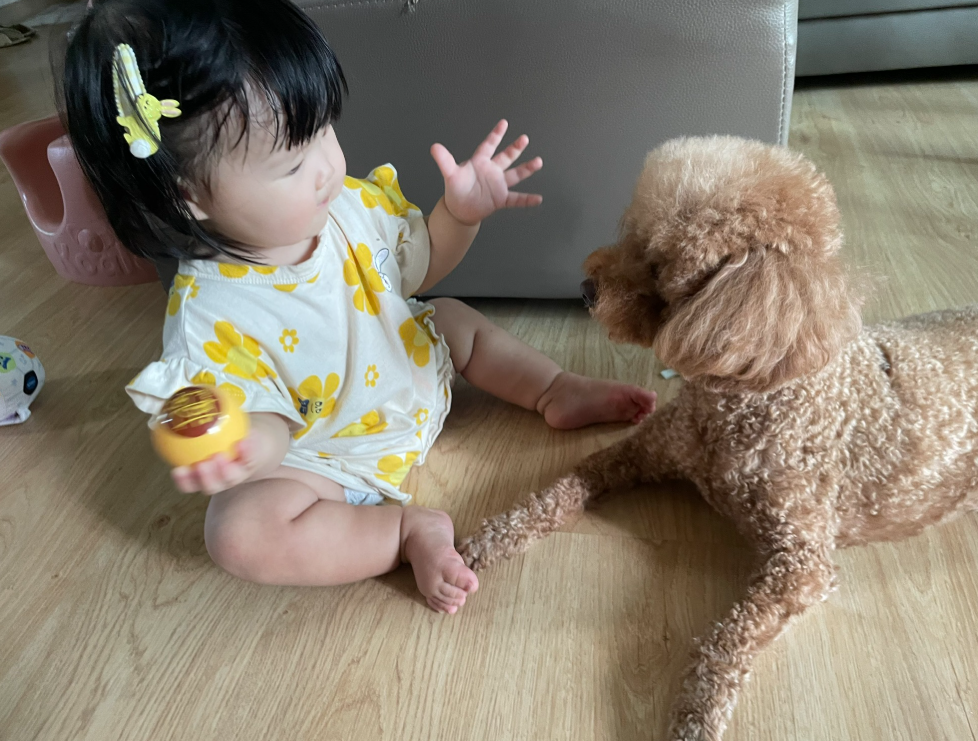 아기와 강아지