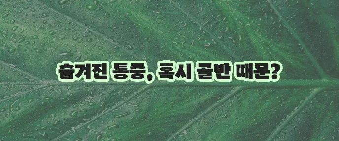 골반전방경사 원인 증상 검사 치료 핵심 정리 확실하게!