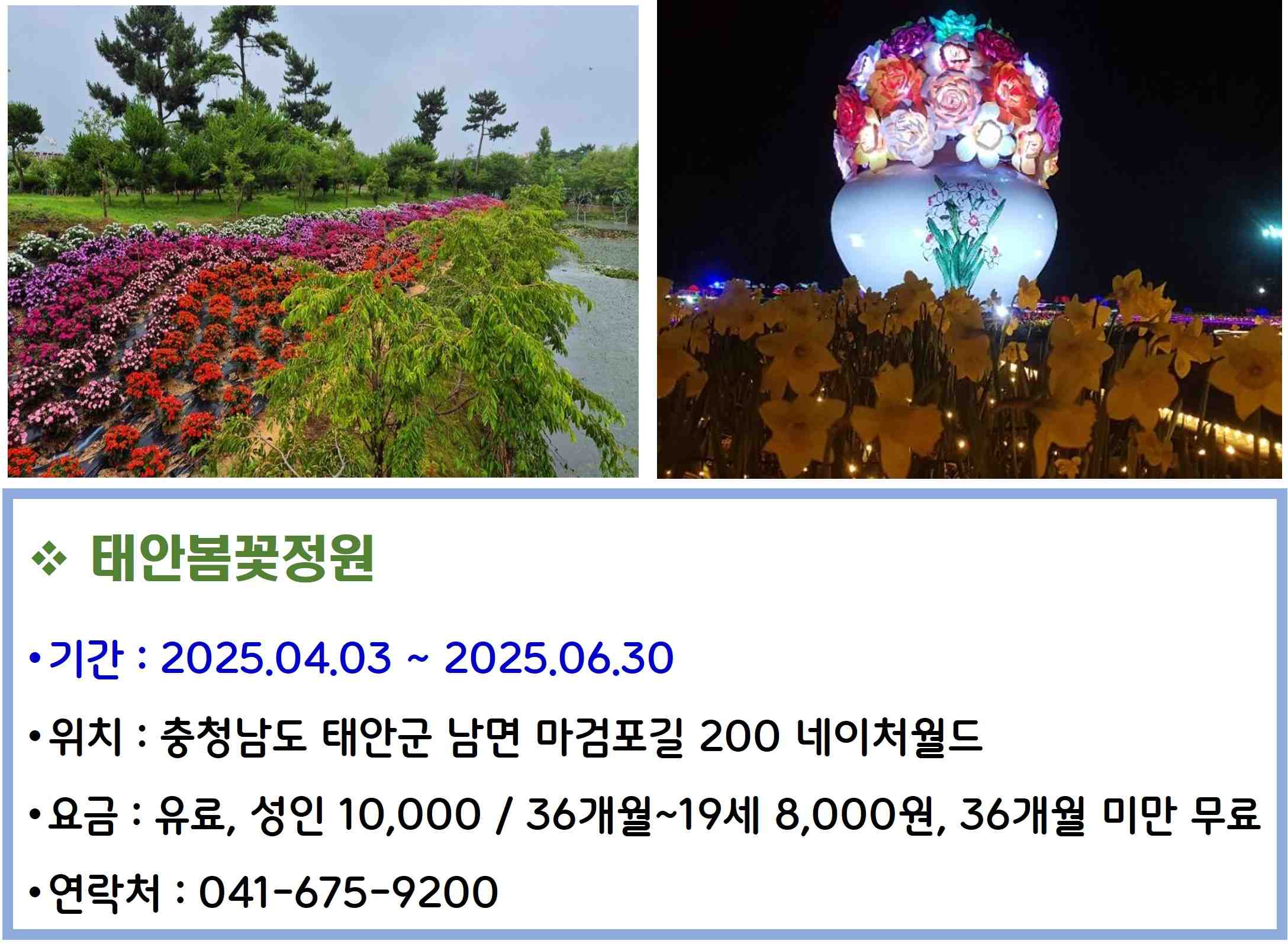 태안봄꽃정원