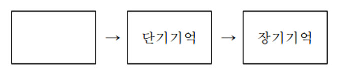 기억의 3단계 모델