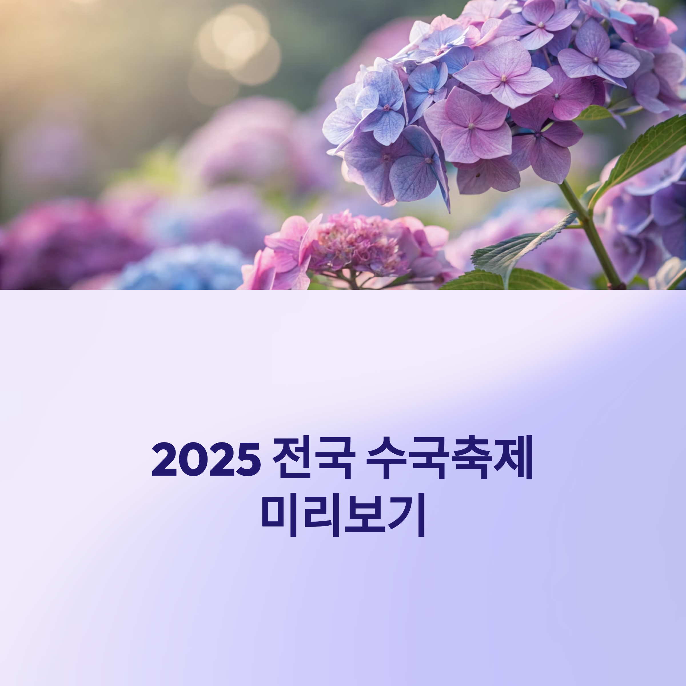 전국 수국축제 일정과 상세 정보
