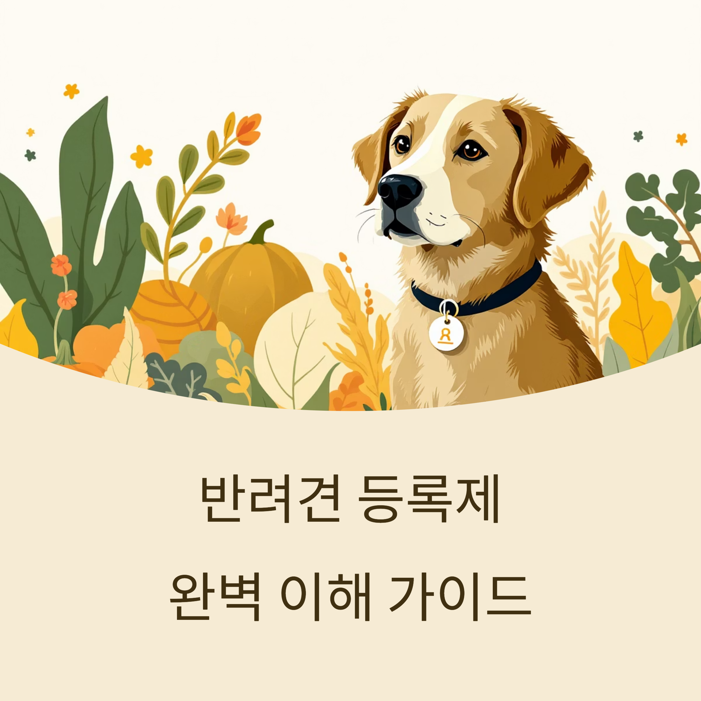 반려견 등록제 완벽 이해 가이드