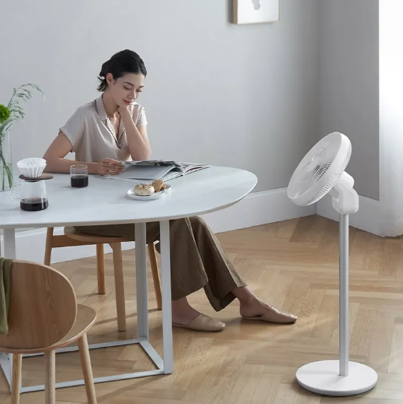 써큘레이터 관련 사진