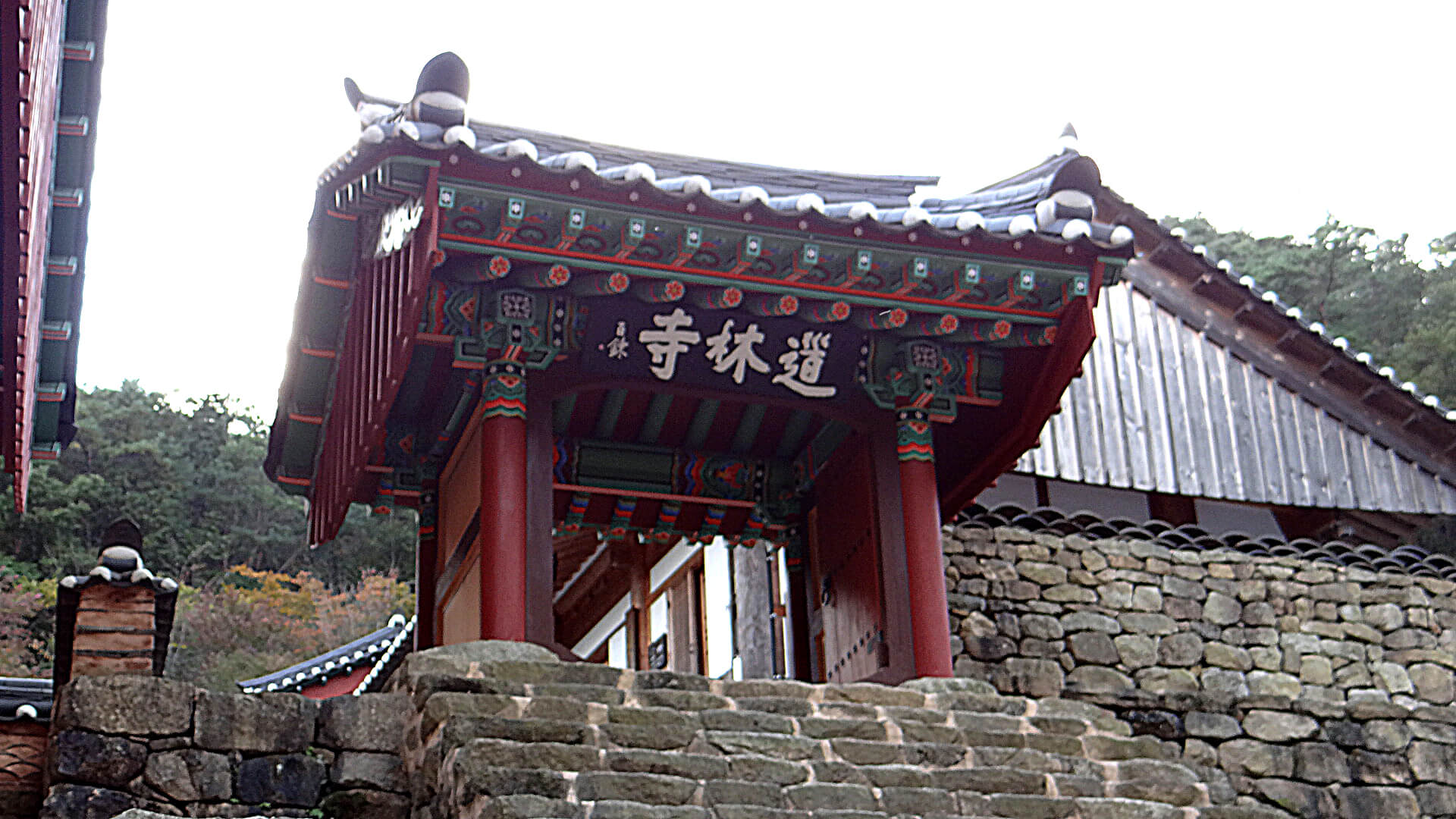 도림사
