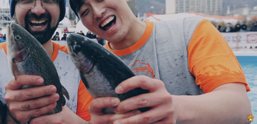 맨손 송어 잡기