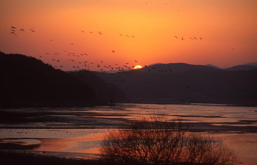 경남 창녕군 우포늪, 우포생태관, 우포출렁다리
