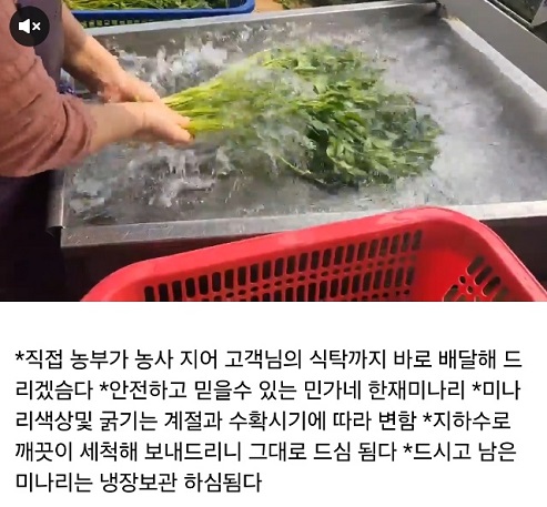 6시내고향-청도-한재미나리-민가네한재미나리