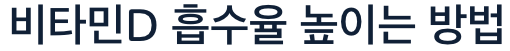 비타민D 많은 흡수율 높이는 방법