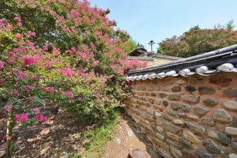대구 가볼만한곳 베스트10 근대골목 수성못 노포맛집 여유 코스_22
