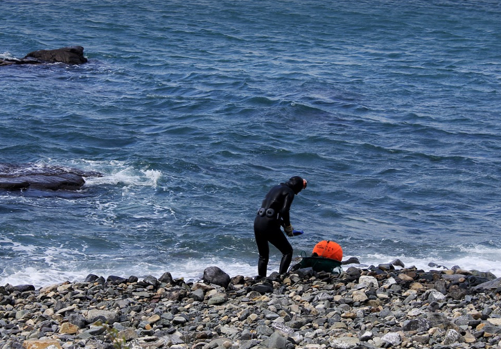해변 - 이국적인 여름을 즐기고 싶다면