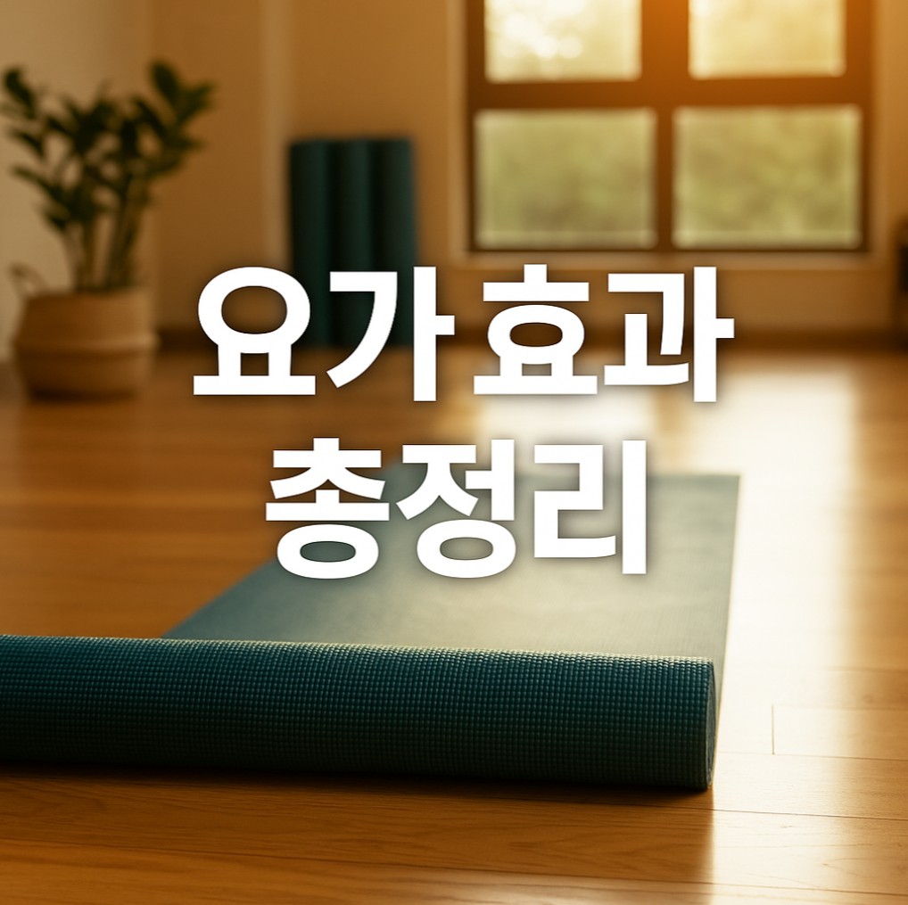 요가 효과 총정리 썸네일