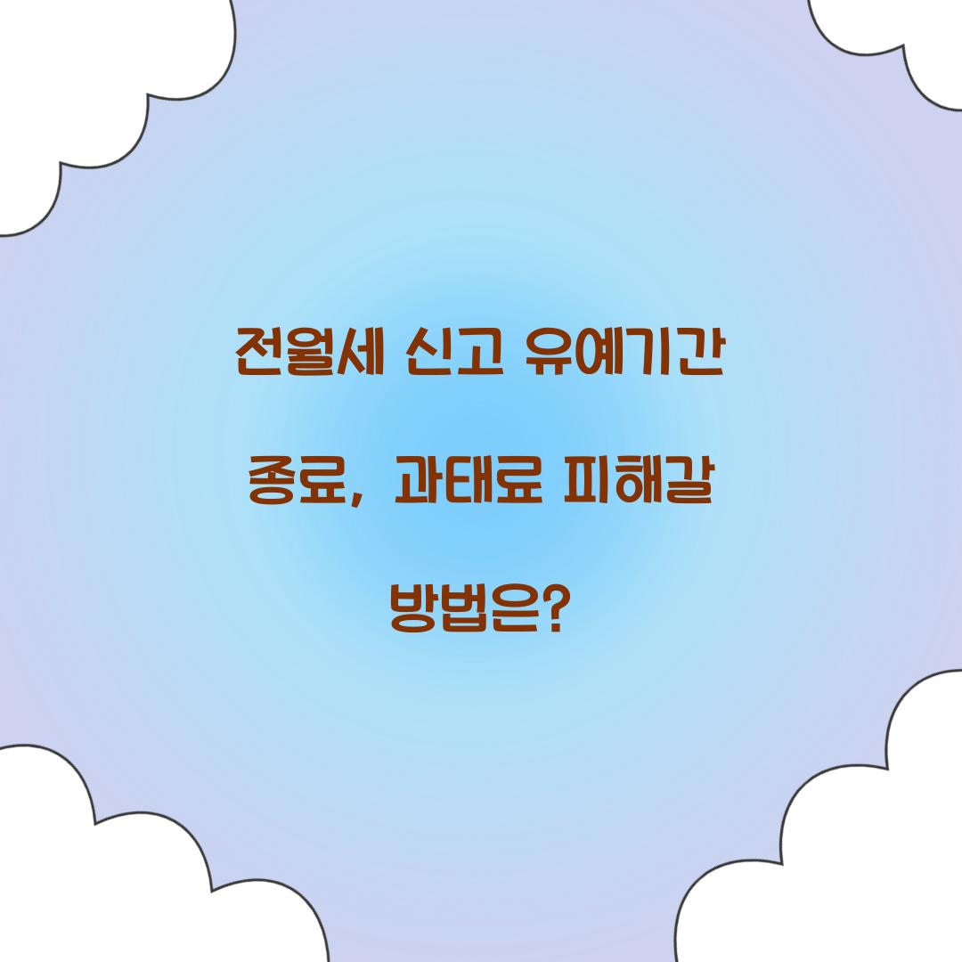 전월세 신고 유예기간