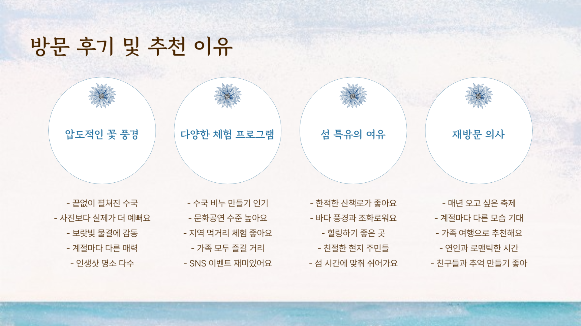 전남 신안 도초도 수국축제