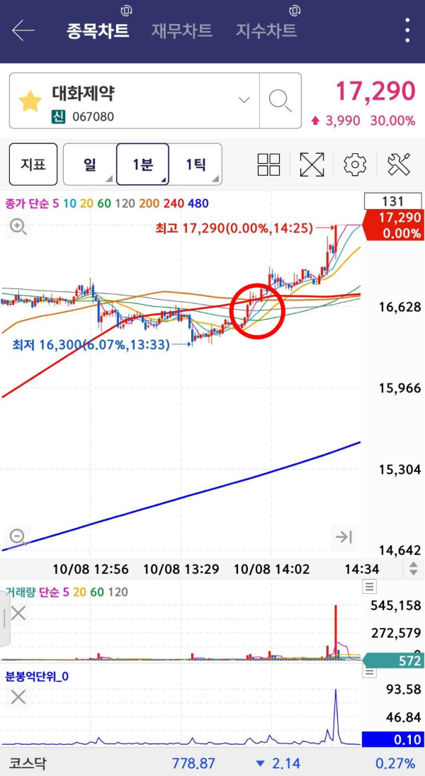 영웅문 대화제약 상한가 가기 직전